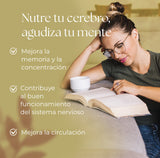 Obire Ginkgo Biloba 450 mg ext seco 100 comprimidos