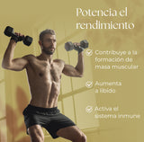 Obire Tribulus 500 mg. (90% saponinas) 90 cápsulas