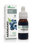 Soria Natural Arándano Extracto 50 ml