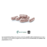 Obire Arandano Rojo 5000 mb Ext.Seco 200 mg 60 capsulas